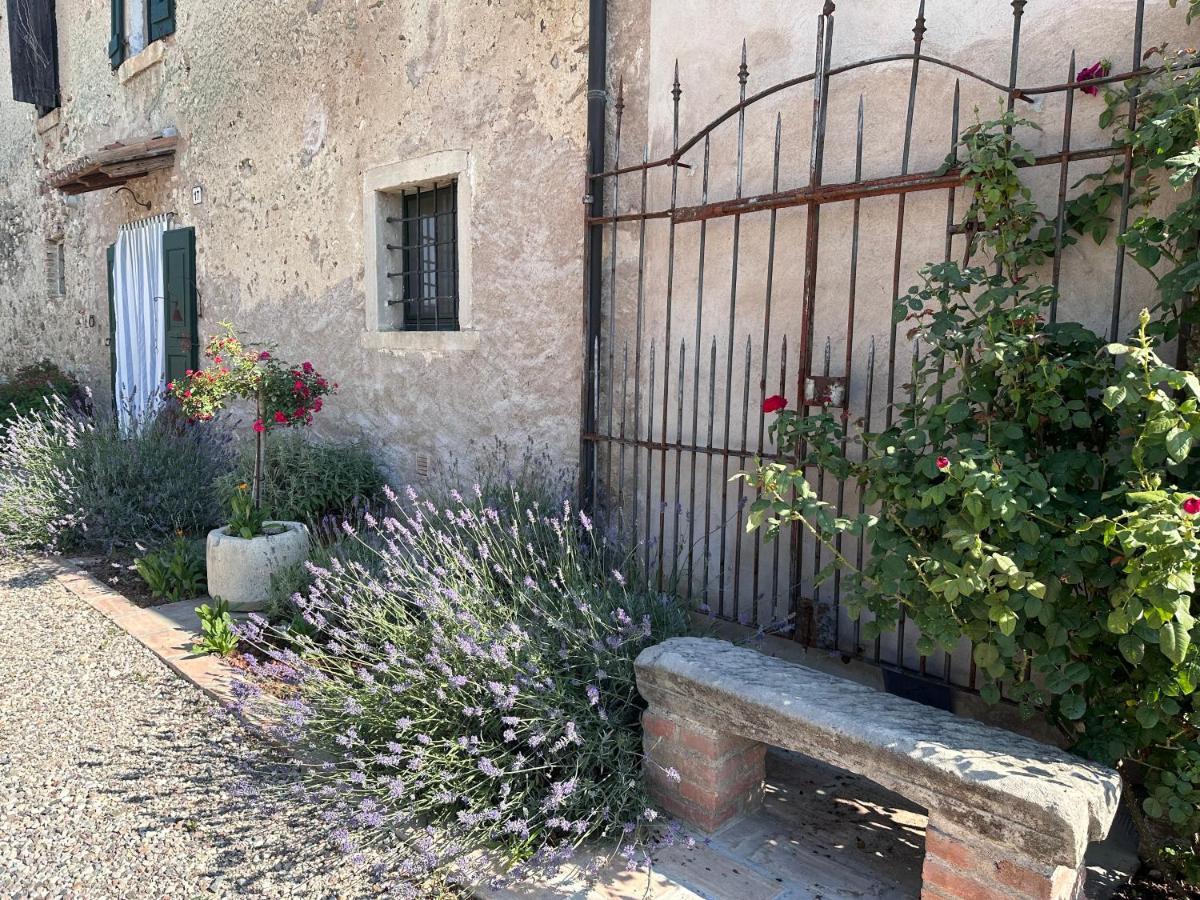 Ca Nova Agriturismo Castellaro  Zewnętrze zdjęcie