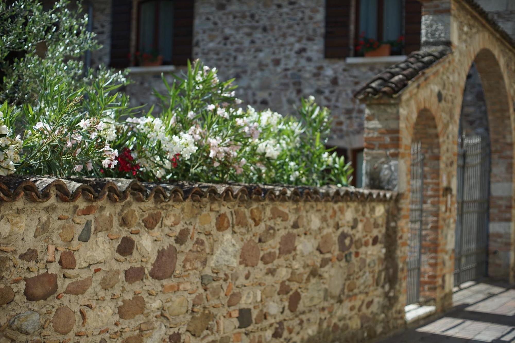 Ca Nova Agriturismo Castellaro  Zewnętrze zdjęcie