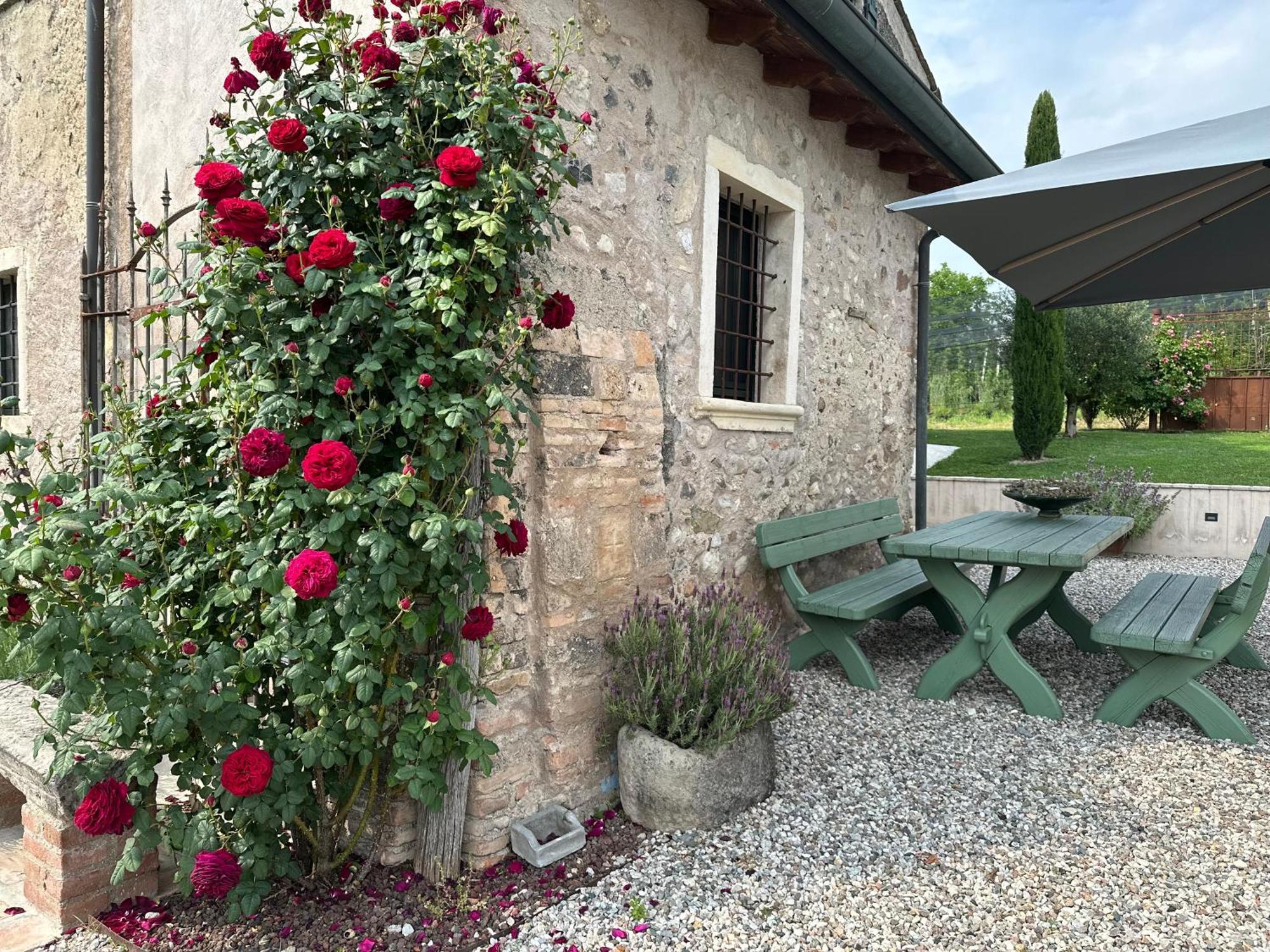 Ca Nova Agriturismo Castellaro  Zewnętrze zdjęcie