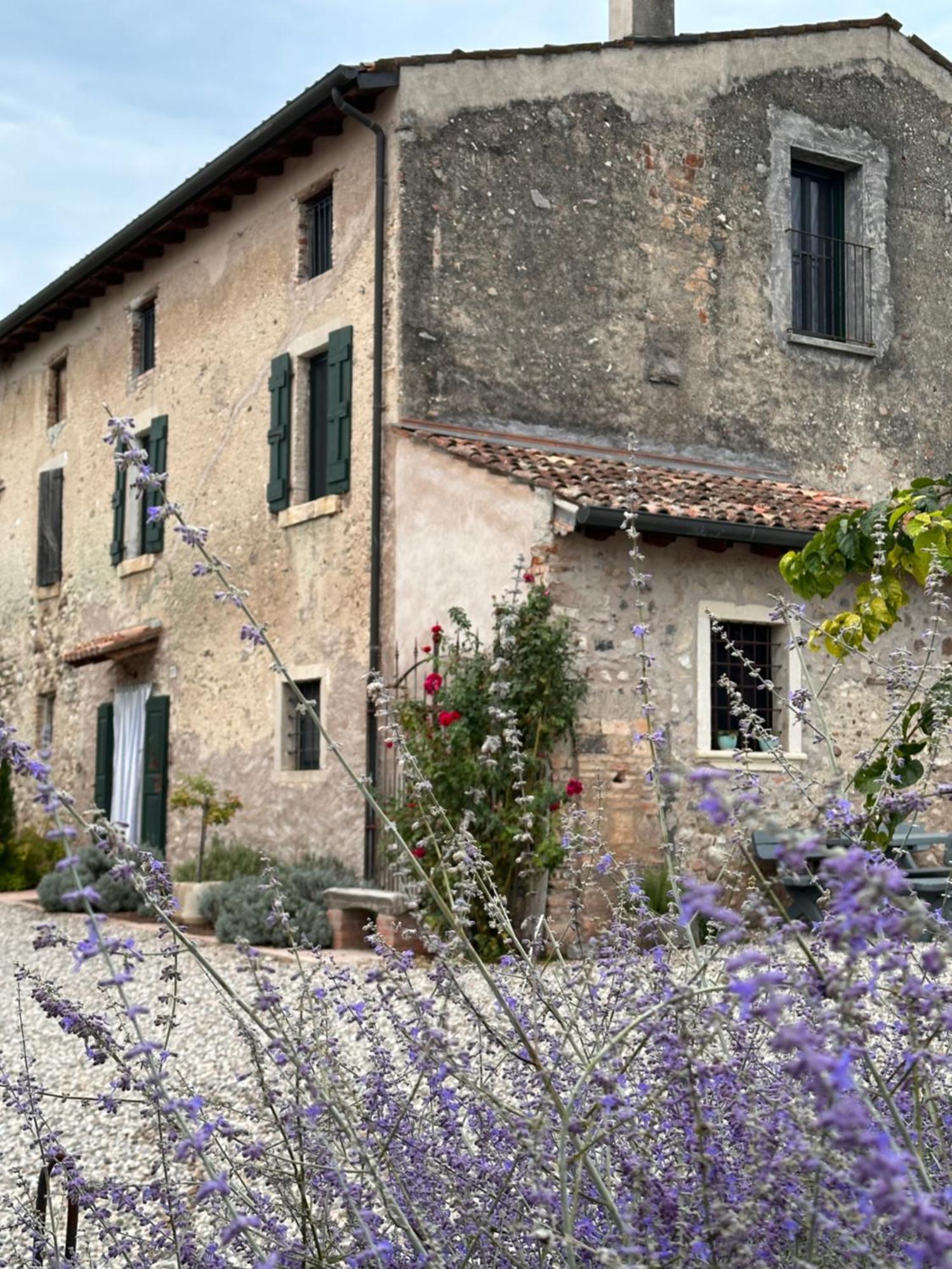 Ca Nova Agriturismo Castellaro  Zewnętrze zdjęcie